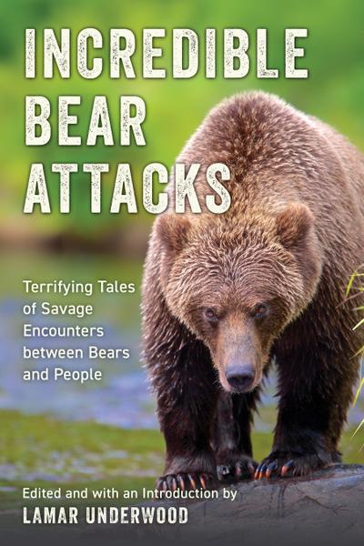 Incredible Bear Attacks