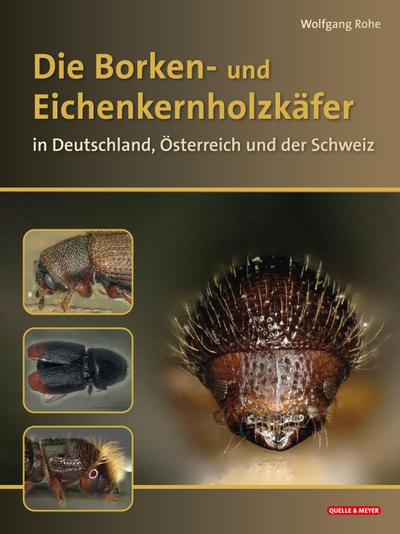 Die Borkenkäfer Deutschlands, Österreichs und der Schweiz