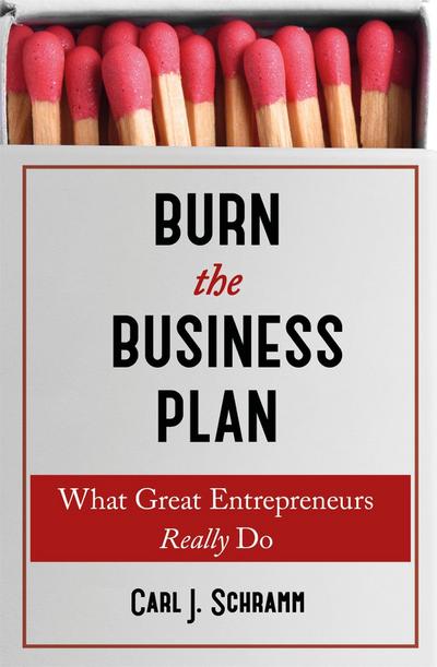 Burn the Business Plan