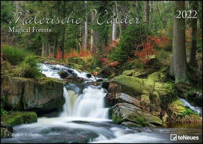 Malerische Wälder 2022 - Wand-Kalender - 42x29,7 - Wald - Natur