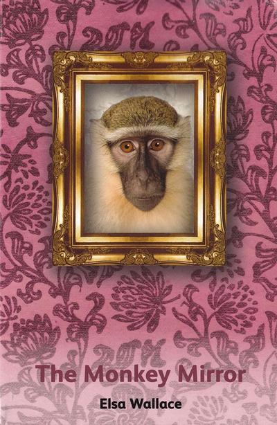 Monkey Mirror