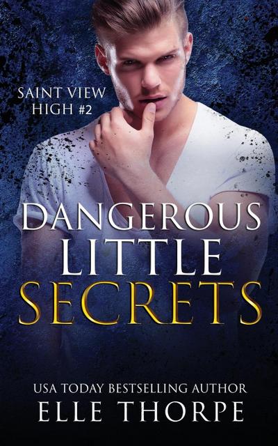 Dangerous Little Secrets