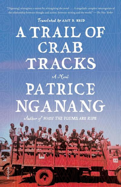 Trail of Crab Tracks