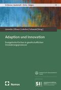 Adaption und Innovation