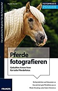 Foto Praxis Pferde fotografieren. Geballtes Know-how für tolle Pferdefotos.