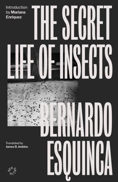 Secret Life Of Insects