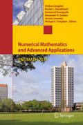 Numerical Mathematics and Advanced Applications 2011