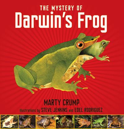 The Mystery of Darwin’s Frog