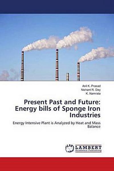 Present Past and Future: Energy bills of Sponge Iron Industries