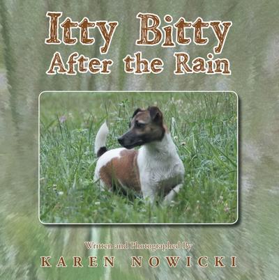 Itty Bitty After the Rain