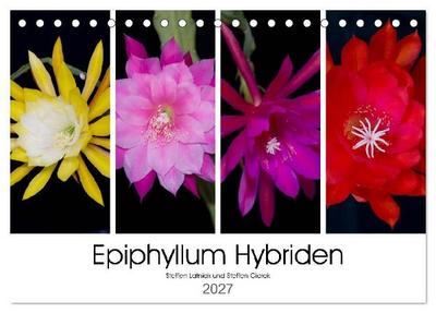 Epiphyllum-Hybriden (Tischkalender 2027 DIN A5 quer), CALVENDO Monatskalender