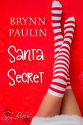 Santa Secret (Daly Way, #8)