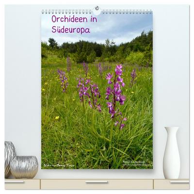 Orchideen in Südeuropa (hochwertiger Premium Wandkalender 2025 DIN A2 hoch), Kunstdruck in Hochglanz