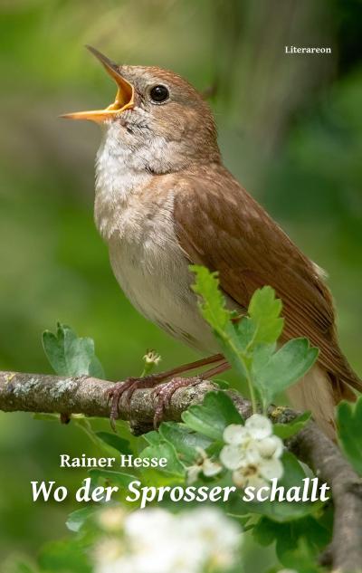 Wo der Sprosser schallt