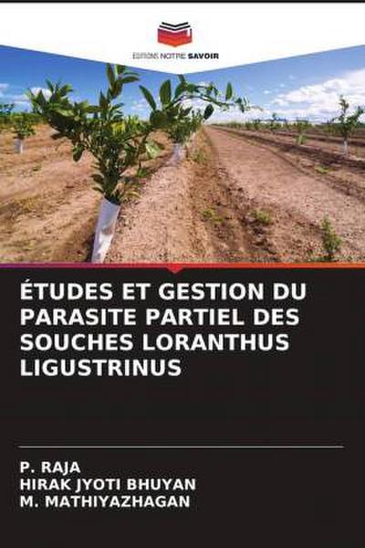 ÉTUDES ET GESTION DU PARASITE PARTIEL DES SOUCHES LORANTHUS LIGUSTRINUS