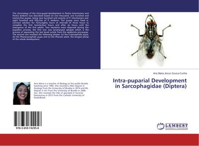 Intra-puparial Development in Sarcophagidae (Diptera)