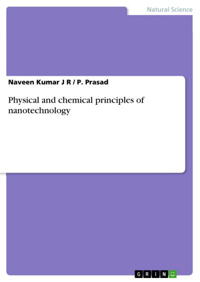 Physical and chemical principles of nanotechnology