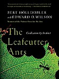 The Leafcutter Ants