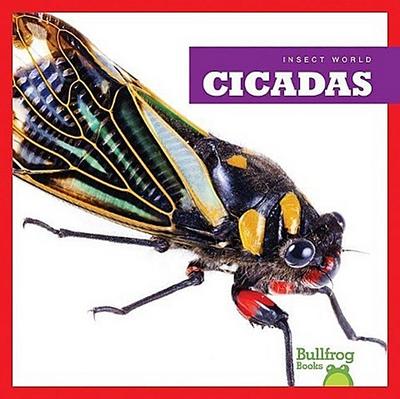 Cicadas