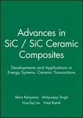 Advances in SiC / SiC Ceramic Composites