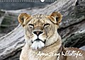 Amazing Wildlife (Wandkalender 2017 DIN A3 quer) - Andreas Hebbel-Seeger