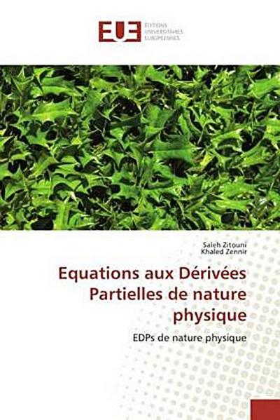 Equations aux Dérivées Partielles de nature physique