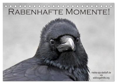Rabenhafte Momente! (Tischkalender 2026 DIN A5 quer), CALVENDO Monatskalender