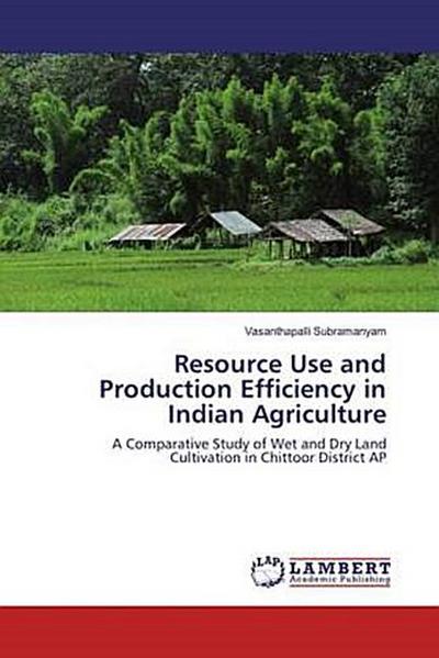 Resource Use and Production Efficiency in Indian Agriculture