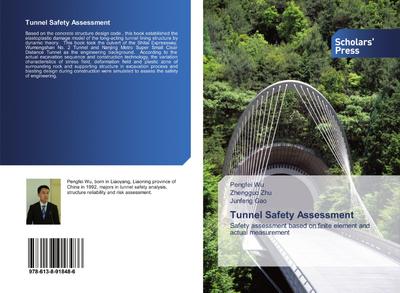 Tunnel Safety Assessment