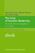 The Crisis of Socialist Modernity