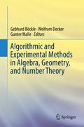 Algorithmic and Experimental Methods  in Algebra, Geometry, and Number Theory