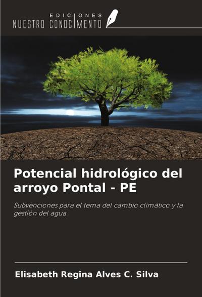 Potencial hidrológico del arroyo Pontal - PE