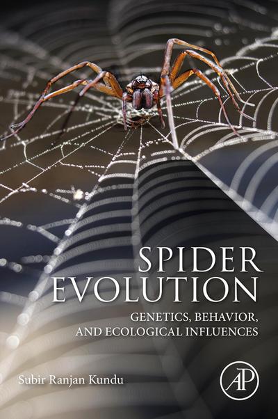 Spider Evolution