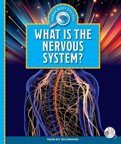 What Is the Nervous System?