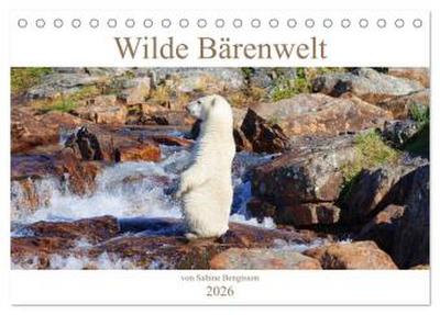 Wilde Bärenwelt (Tischkalender 2026 DIN A5 quer), CALVENDO Monatskalender