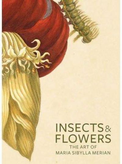 Insects and Flowers