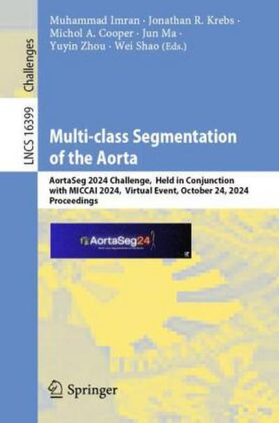 Multi-class Segmentation of the Aorta