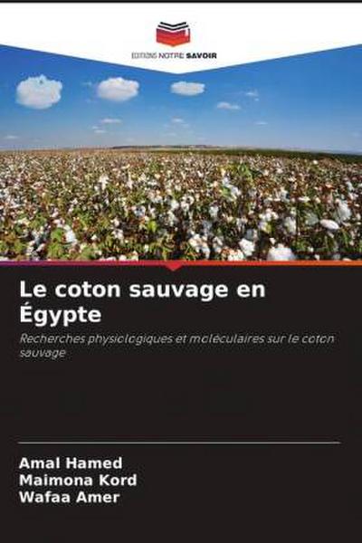 Le coton sauvage en Égypte