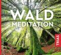 Waldmeditation