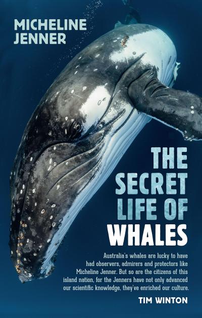 Secret Life of Whales