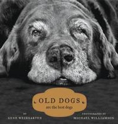 Old Dogs