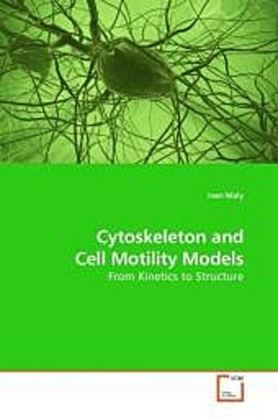 Cytoskeleton and Cell Motility Models