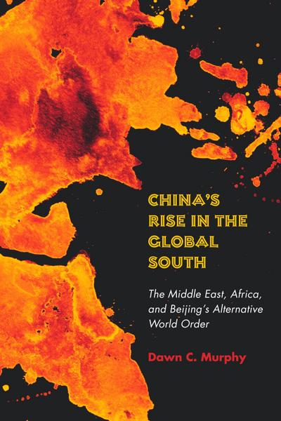 China’s Rise in the Global South