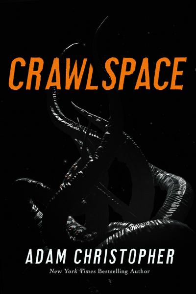 Crawlspace