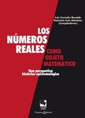 Los números reales como objeto matemático