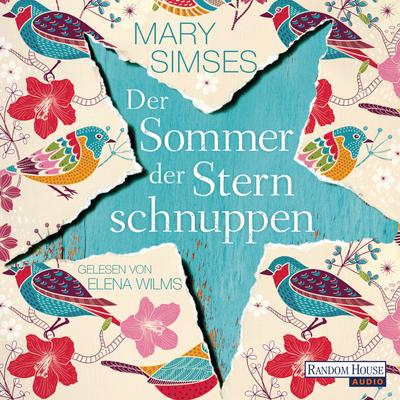 Der Sommer der Sternschnuppen