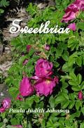 Sweetbriar (A Love Triangle Romance, #1)