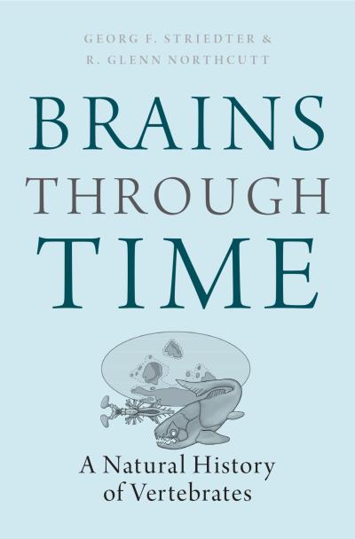 Brains Through Time