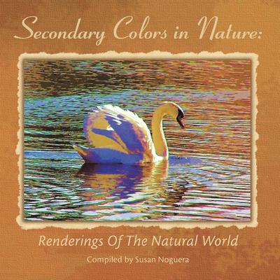 Secondary Colors in Nature