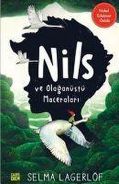 Nils ve Olaganüstü Maceralari